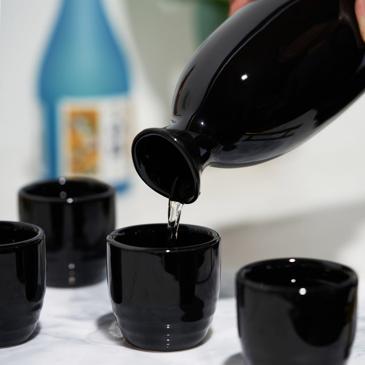 Moga 5-Piece Porcelain Sake Set in Black