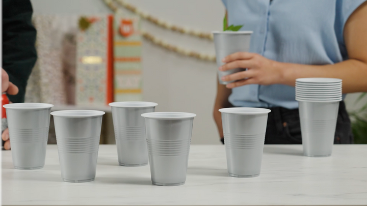 Party 16 oz Plastic Cups in Silver, Set of 24