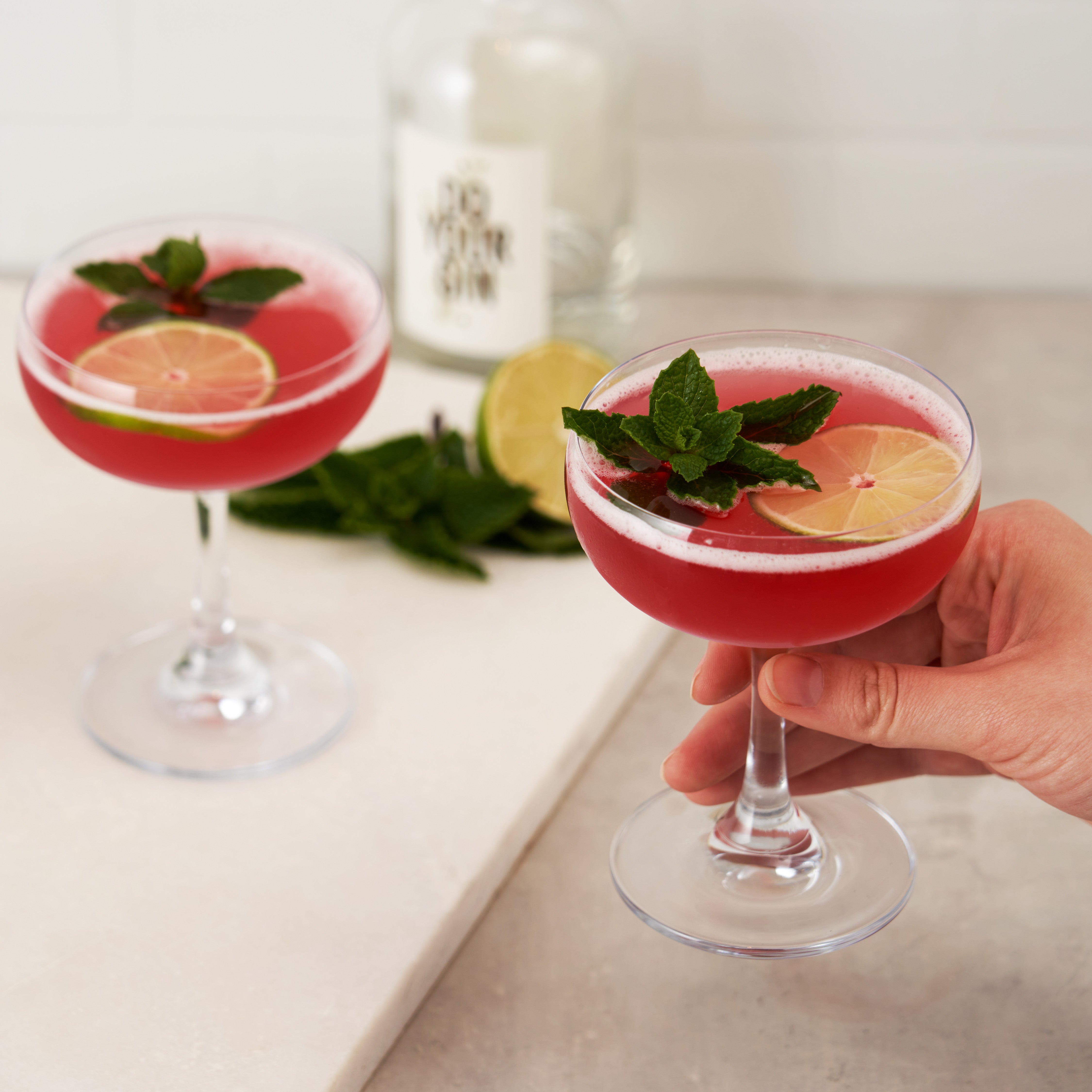TRUE Coupe Cocktail Glasses - Thumbnail 4