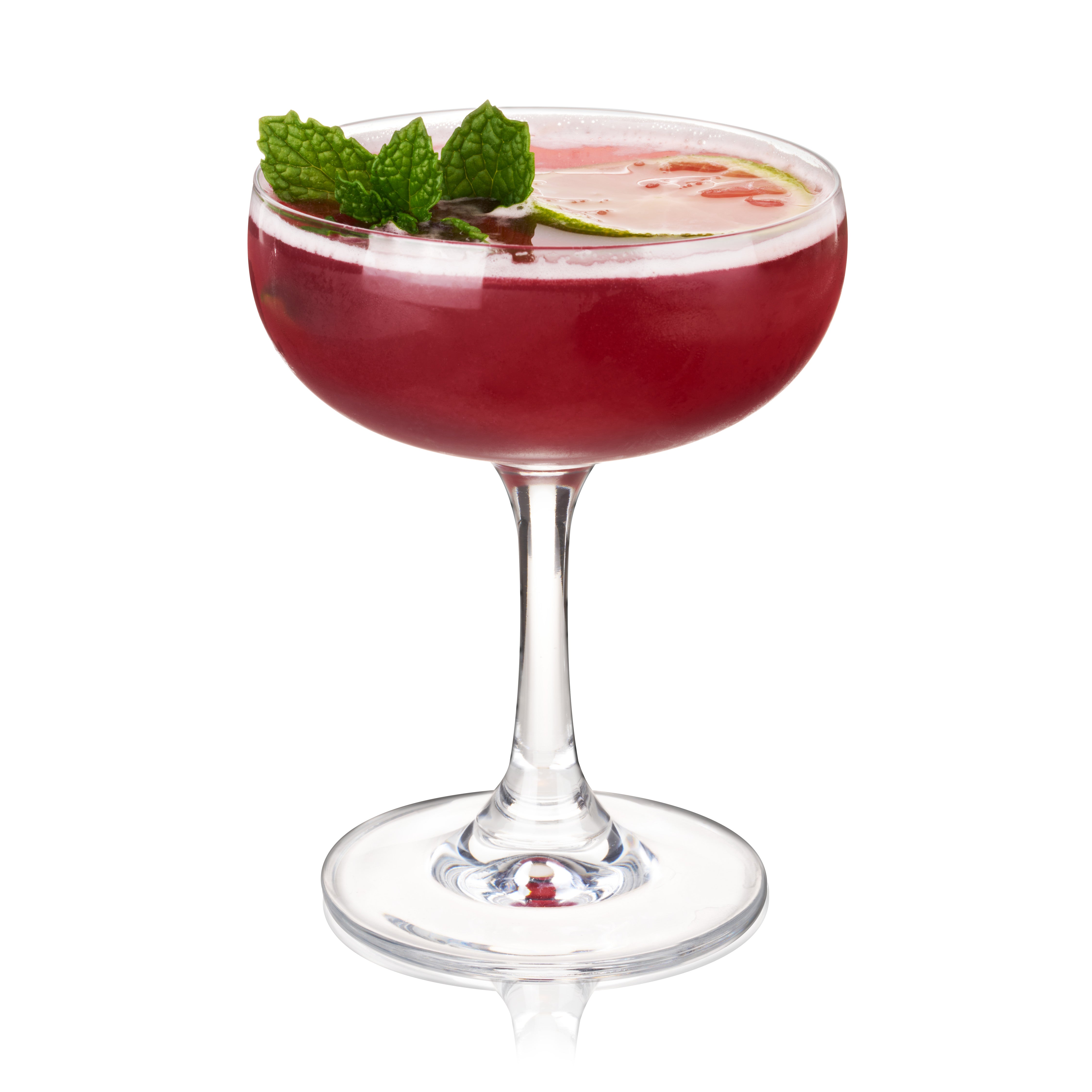 TRUE Coupe Cocktail Glasses